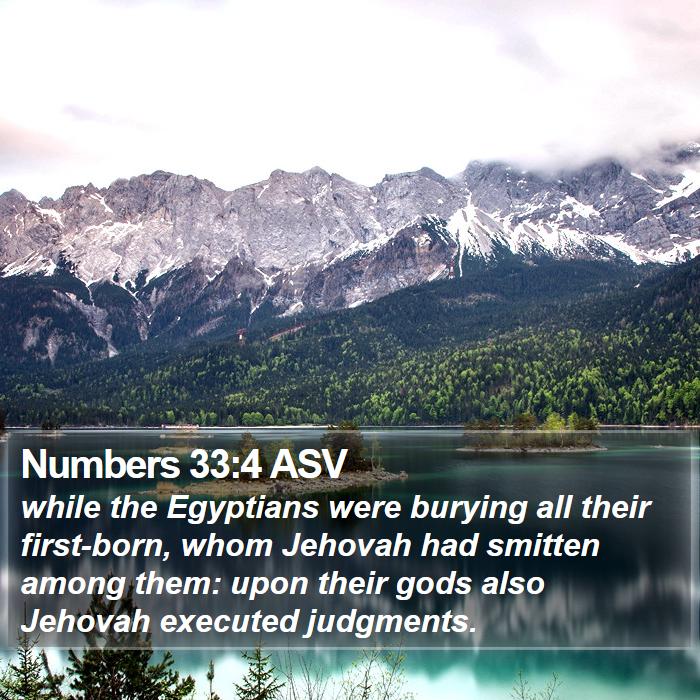 Numbers 33:4 ASV Bible Study