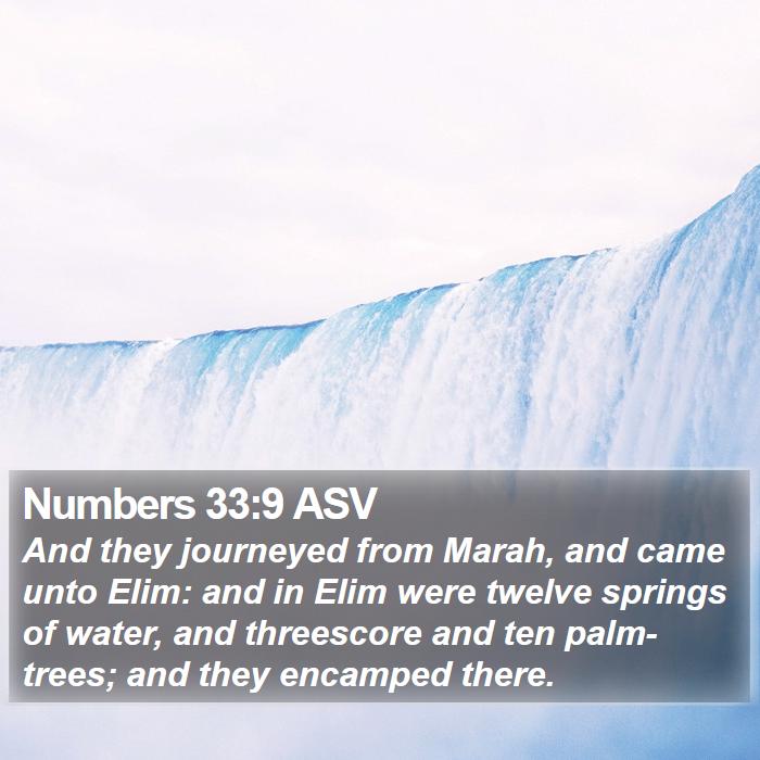 Numbers 33:9 ASV Bible Study