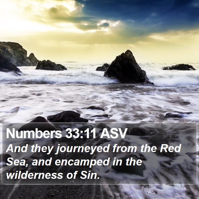 Numbers 33:11 ASV Bible Study