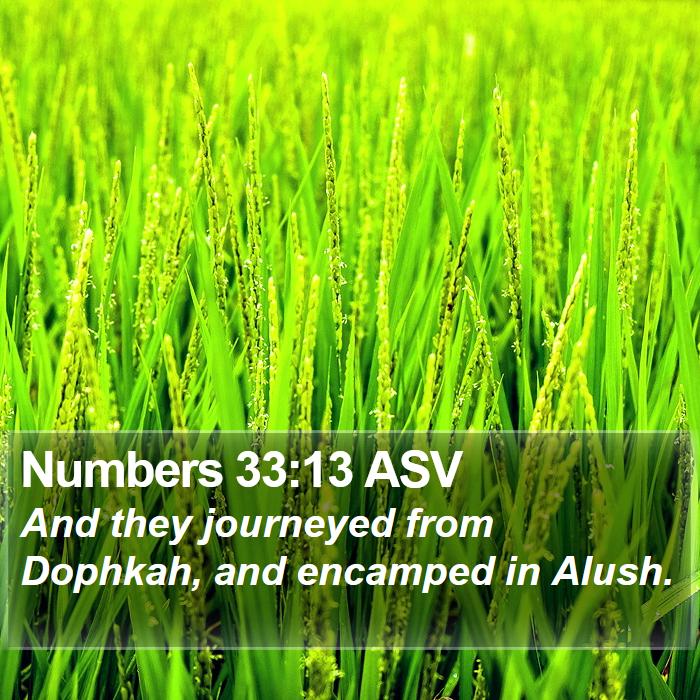 Numbers 33:13 ASV Bible Study