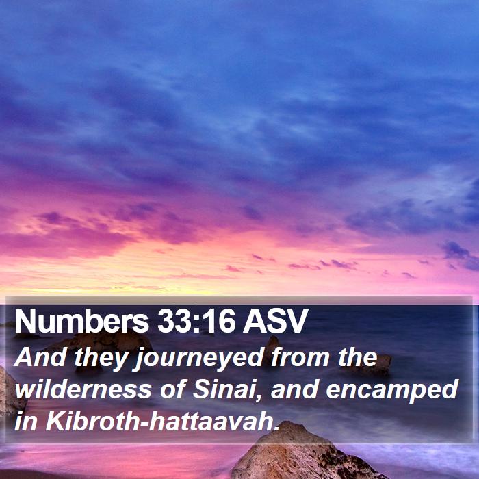 Numbers 33:16 ASV Bible Study