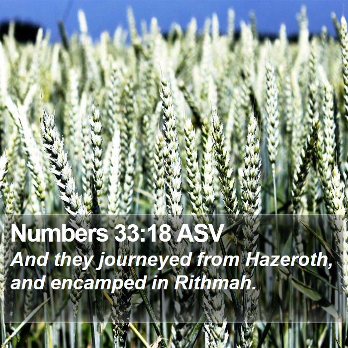 Numbers 33:18 ASV Bible Study