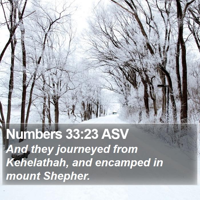 Numbers 33:23 ASV Bible Study