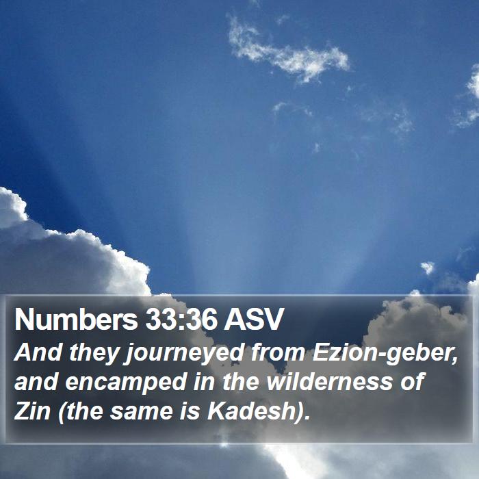 Numbers 33:36 ASV Bible Study