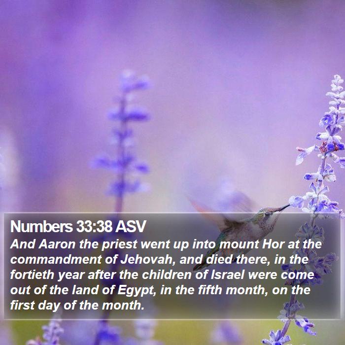 Numbers 33:38 ASV Bible Study