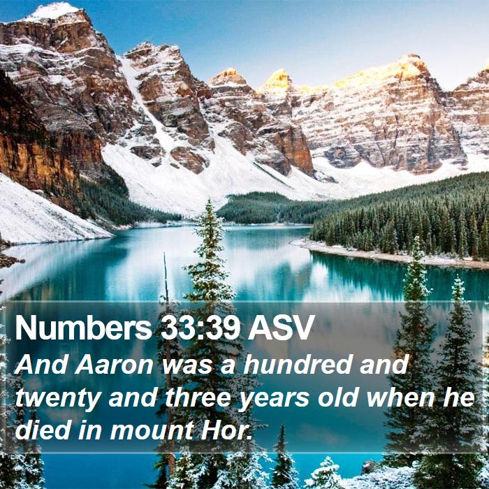 Numbers 33:39 ASV Bible Study