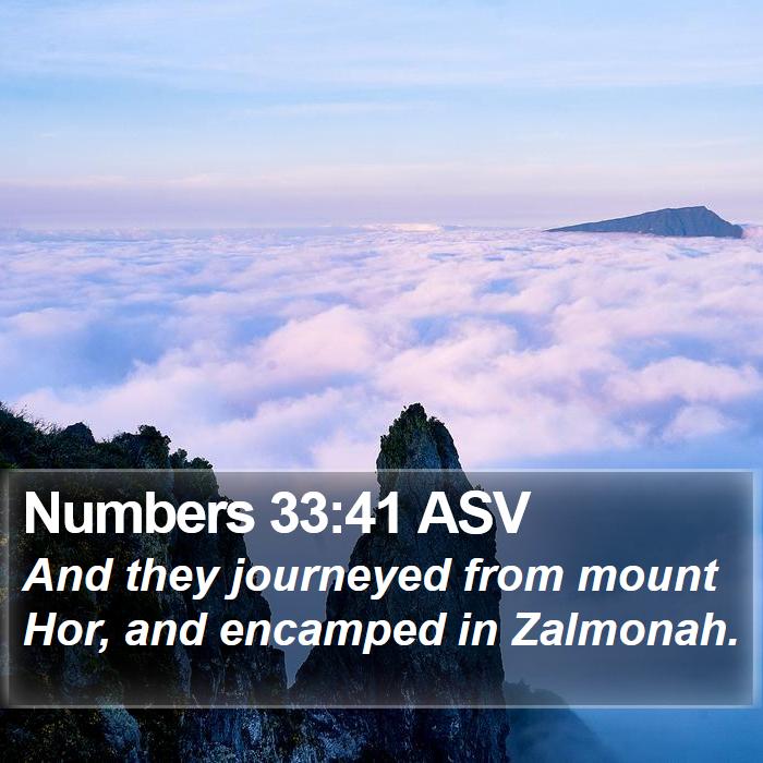 Numbers 33:41 ASV Bible Study