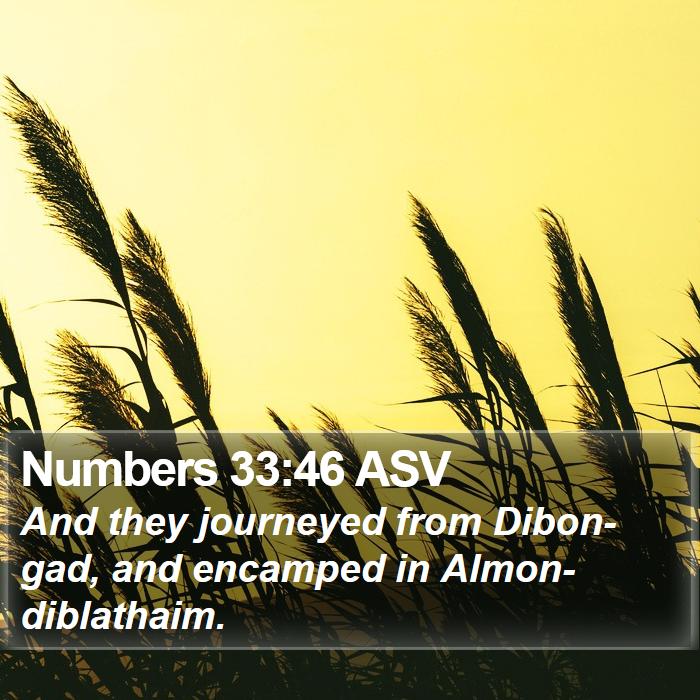 Numbers 33:46 ASV Bible Study