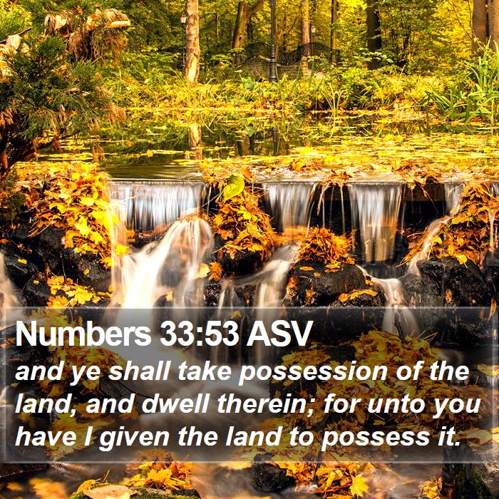 Numbers 33:53 ASV Bible Study