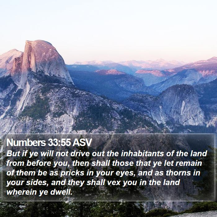 Numbers 33:55 ASV Bible Study