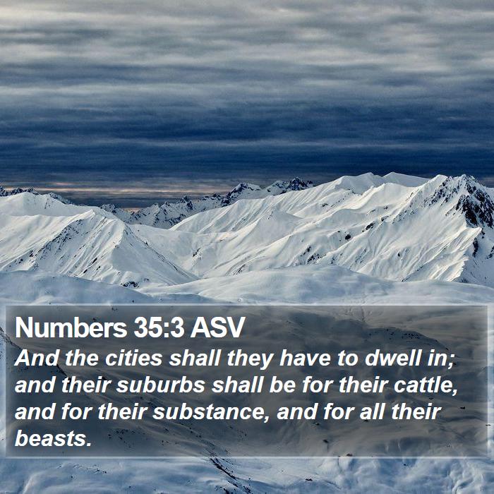 Numbers 35:3 ASV Bible Study