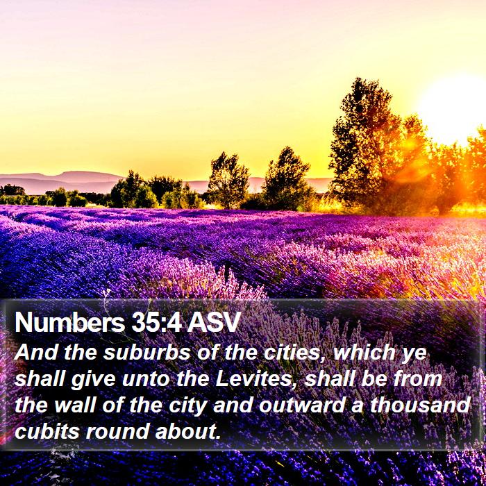 Numbers 35:4 ASV Bible Study