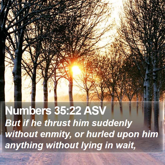 Numbers 35:22 ASV Bible Study