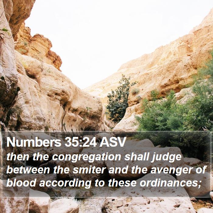 Numbers 35:24 ASV Bible Study