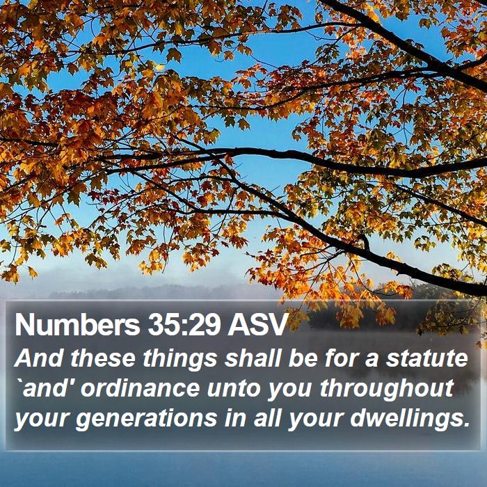 Numbers 35:29 ASV Bible Study