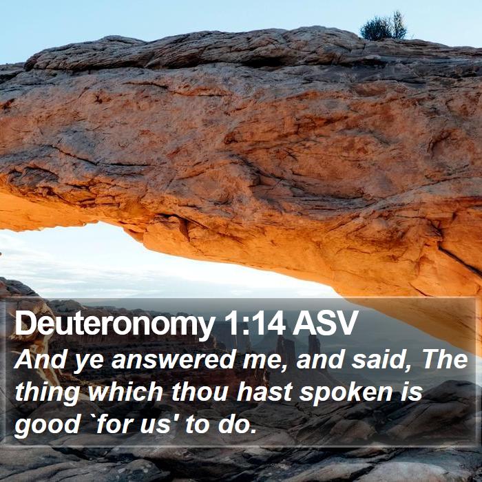 Deuteronomy 1:14 ASV Bible Study