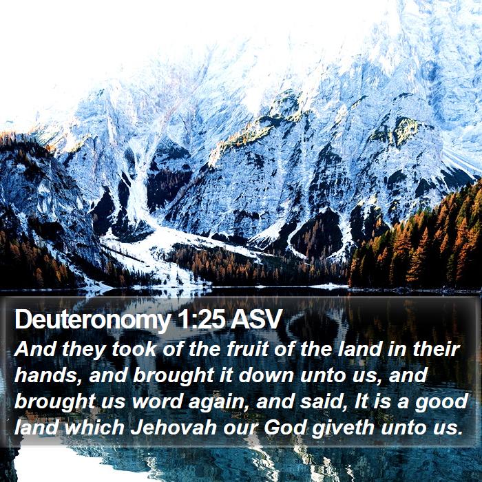 Deuteronomy 1:25 ASV Bible Study