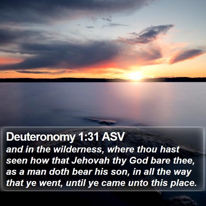 Deuteronomy 1:31 ASV Bible Study