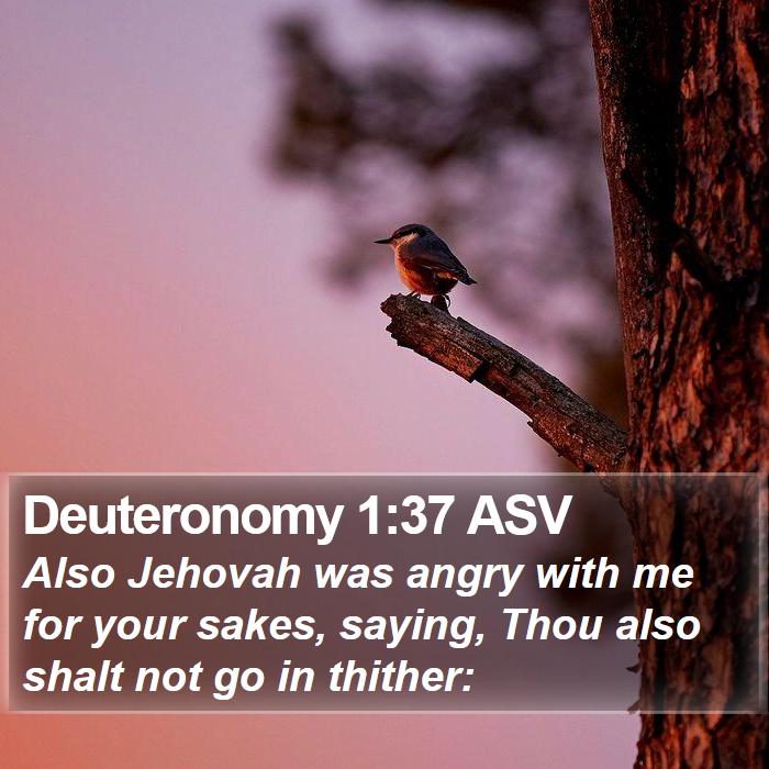 Deuteronomy 1:37 ASV Bible Study