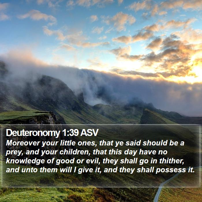 Deuteronomy 1:39 ASV Bible Study