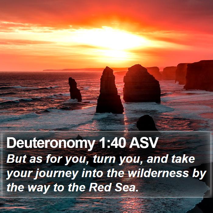 Deuteronomy 1:40 ASV Bible Study