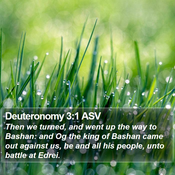 Deuteronomy 3:1 ASV Bible Study