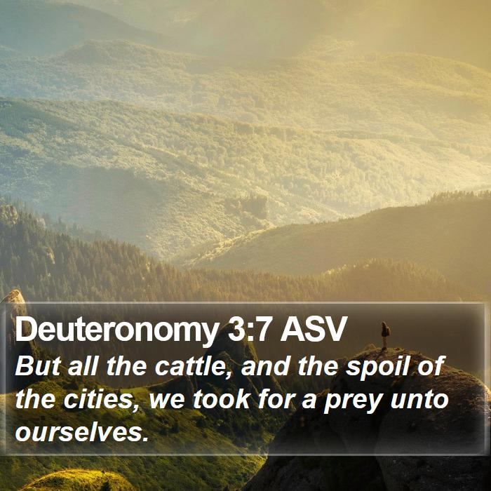 Deuteronomy 3:7 ASV Bible Study