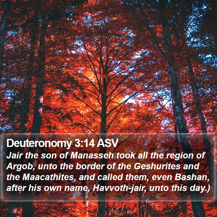 Deuteronomy 3:14 ASV Bible Study