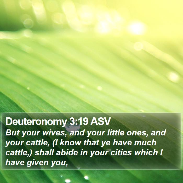 Deuteronomy 3:19 ASV Bible Study