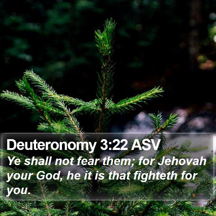 Deuteronomy 3:22 ASV Bible Study