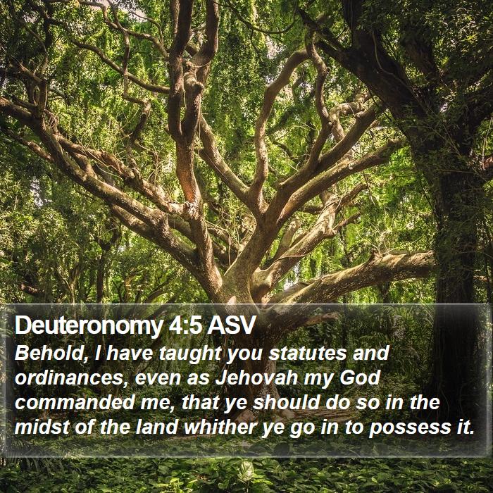 Deuteronomy 4:5 ASV Bible Study