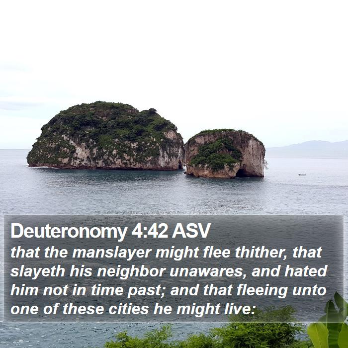 Deuteronomy 4:42 ASV Bible Study