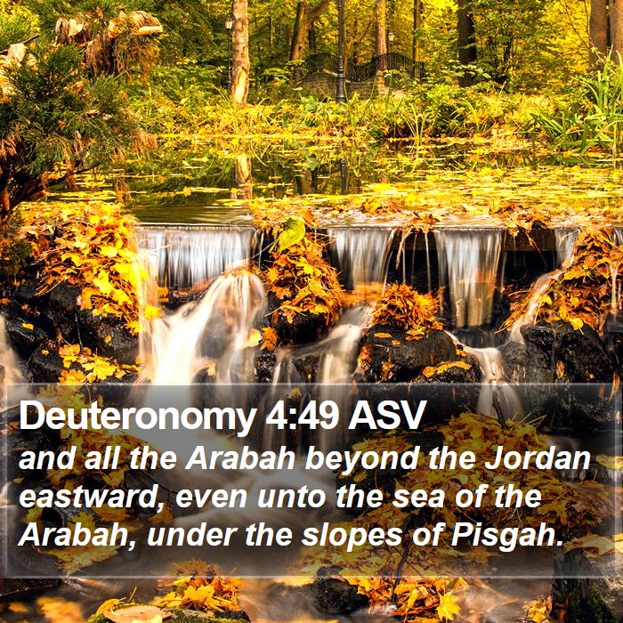 Deuteronomy 4:49 ASV Bible Study