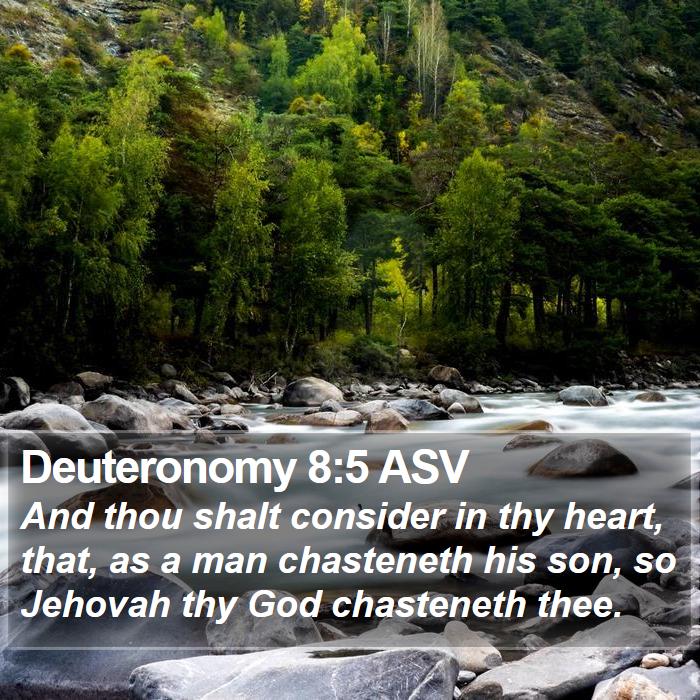 Deuteronomy 8:5 ASV Bible Study