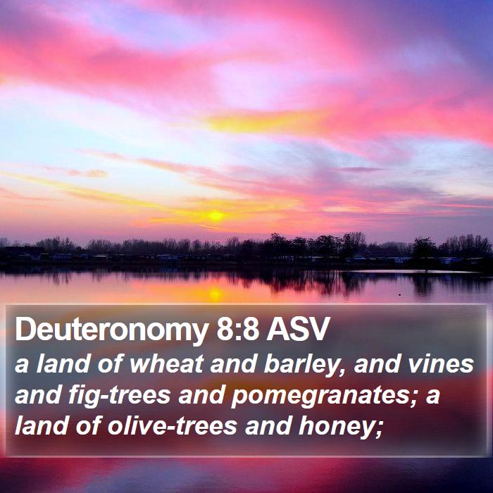 Deuteronomy 8:8 ASV Bible Study