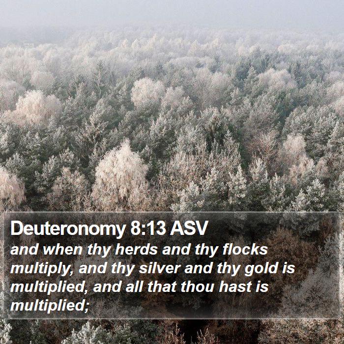 Deuteronomy 8:13 ASV Bible Study