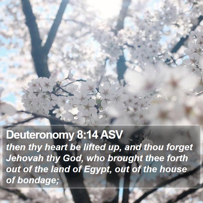 Deuteronomy 8:14 ASV Bible Study