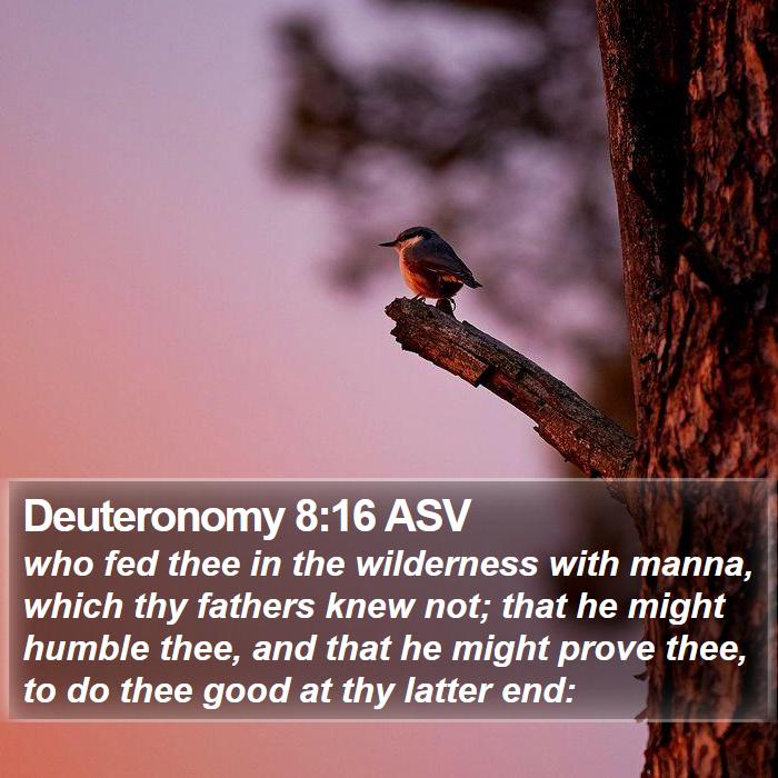 Deuteronomy 8:16 ASV Bible Study