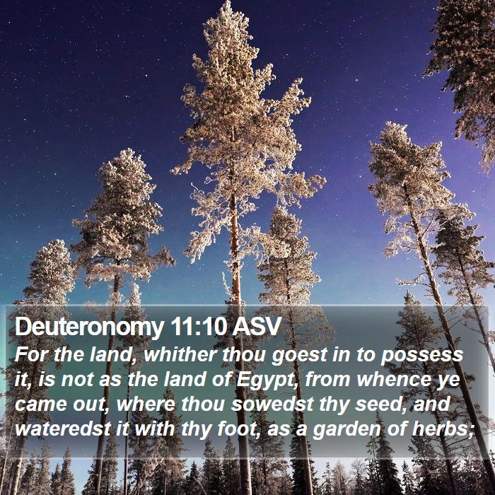 Deuteronomy 11:10 ASV Bible Study