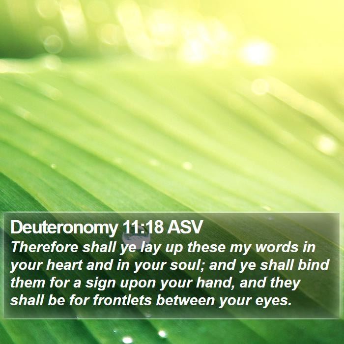 Deuteronomy 11:18 ASV Bible Study