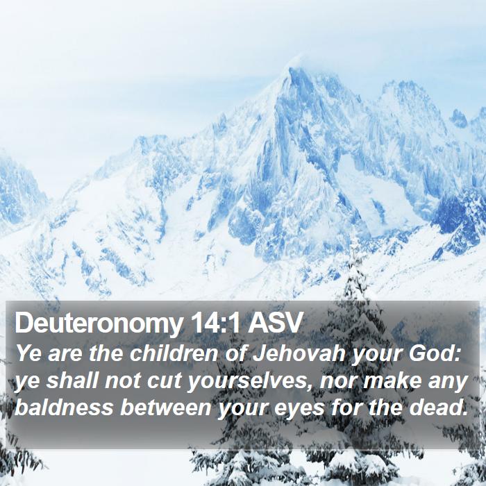 Deuteronomy 14:1 ASV Bible Study