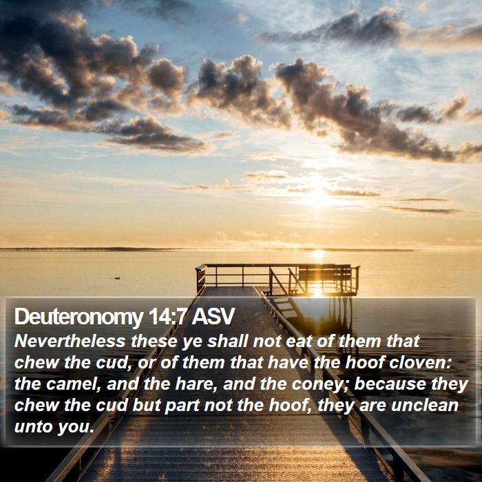 Deuteronomy 14:7 ASV Bible Study