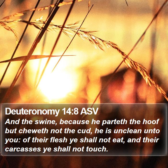 Deuteronomy 14:8 ASV Bible Study