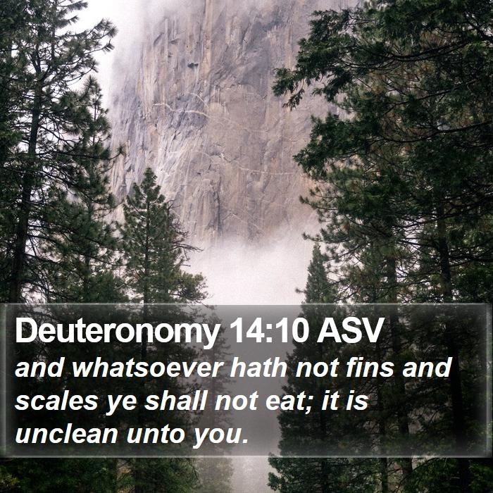 Deuteronomy 14:10 ASV Bible Study