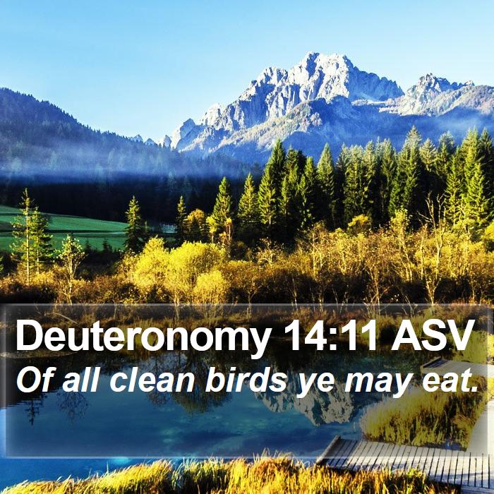 Deuteronomy 14:11 ASV Bible Study