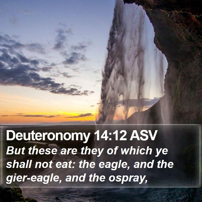 Deuteronomy 14:12 ASV Bible Study