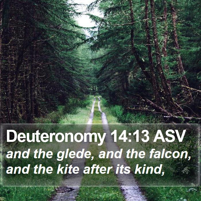 Deuteronomy 14:13 ASV Bible Study