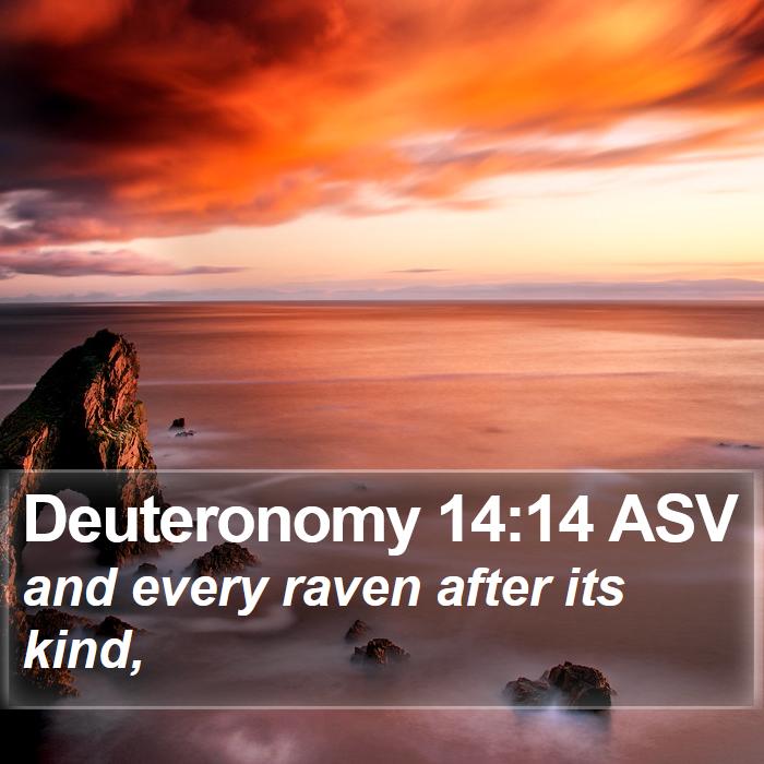 Deuteronomy 14:14 ASV Bible Study