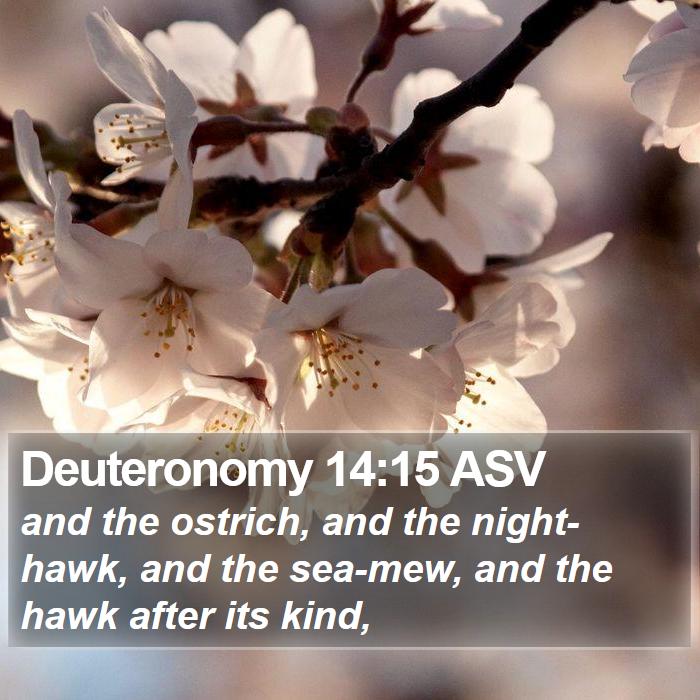 Deuteronomy 14:15 ASV Bible Study