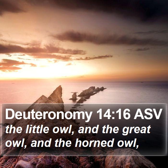 Deuteronomy 14:16 ASV Bible Study